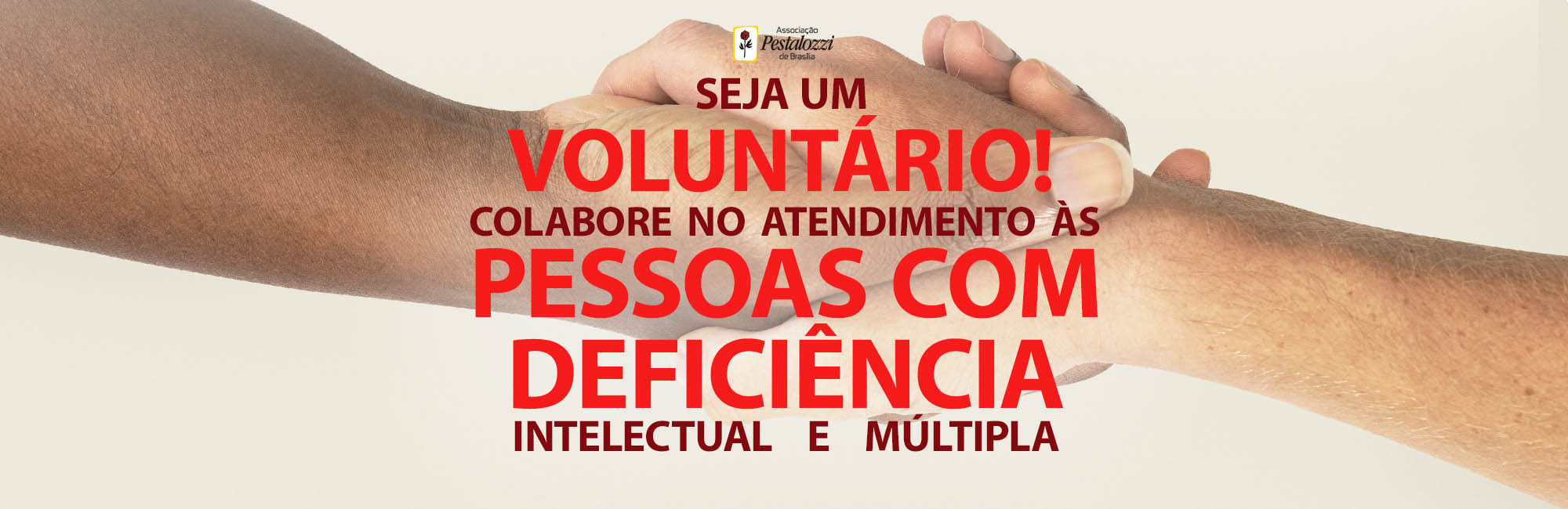 voluntario-2024